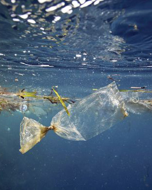 ocean, alenka mali, dump, waste
