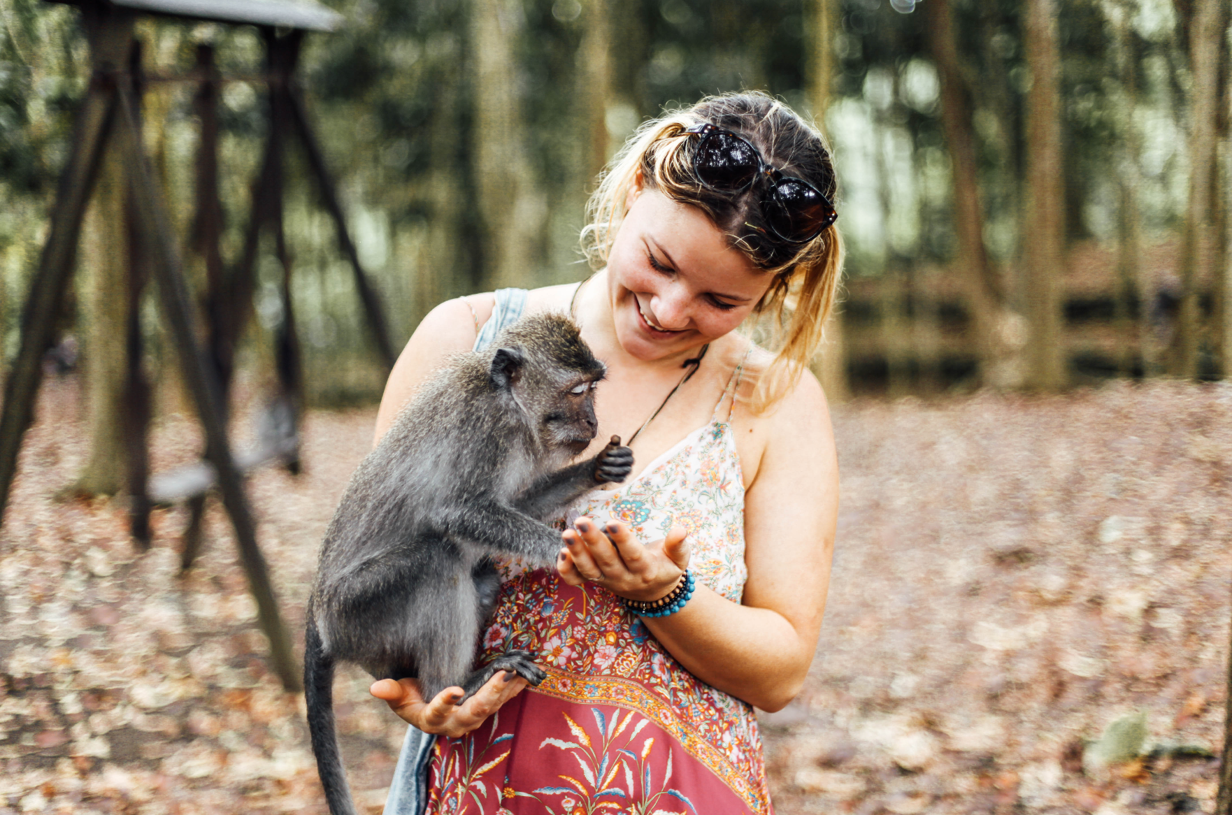 monkey forest, ubud, bali, alenka mali