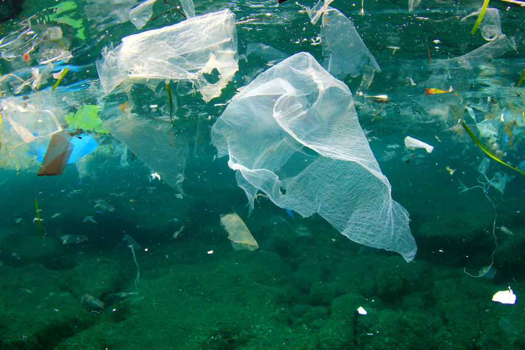 plastic waste, alenka mali, photography, sustainable living, squamish