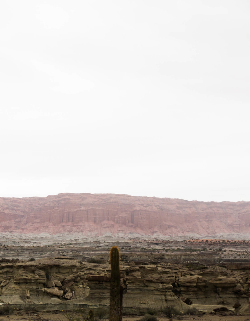 cactus landscape-talampaya national park-san juan-argentina-alenka mali-travel argentina-influencer photography-rock formations-red rock-canyon-exploring argentina-squamish photography