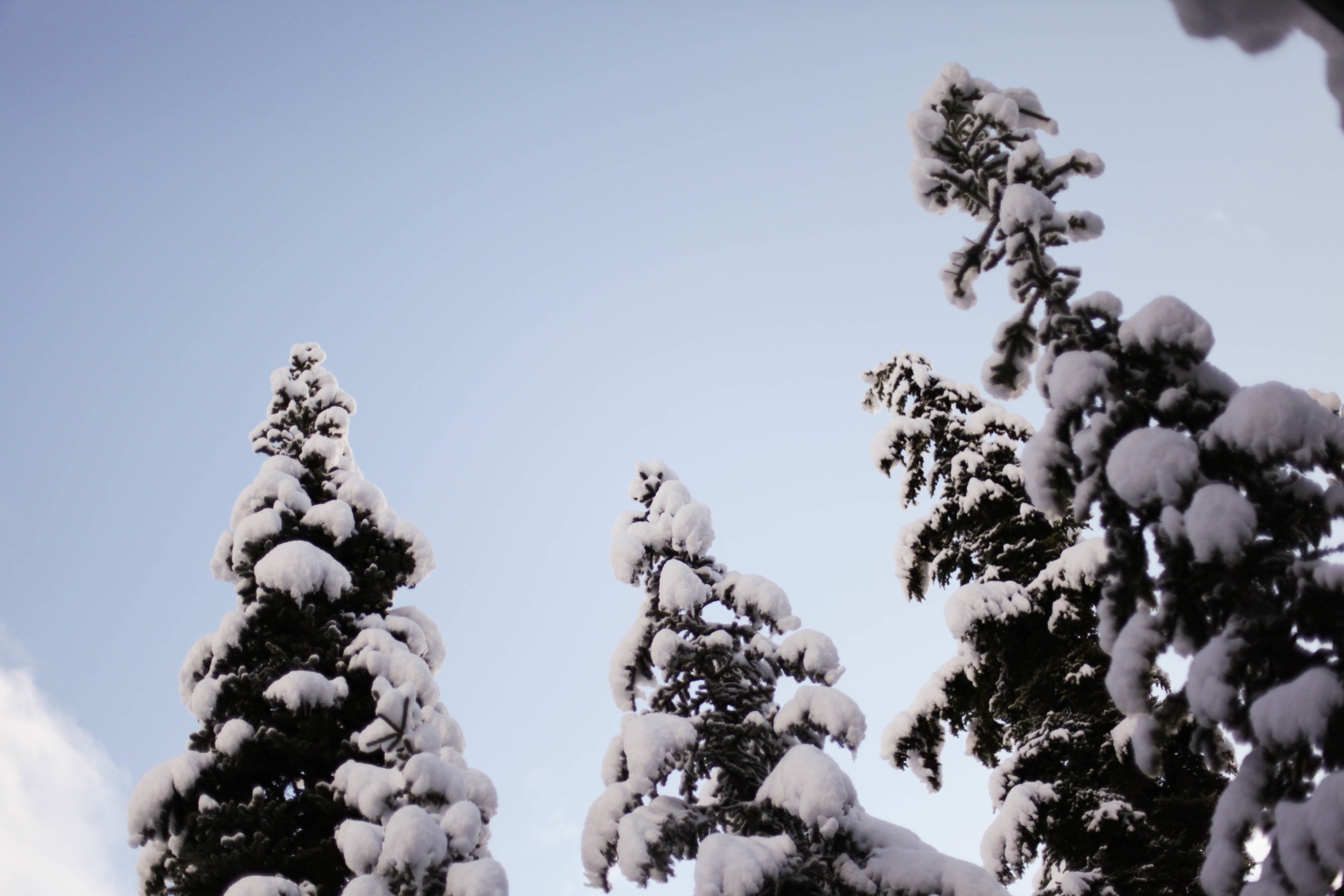 alenka-mali_snowboarding_freeride_cayoosh-hut_pemberton3